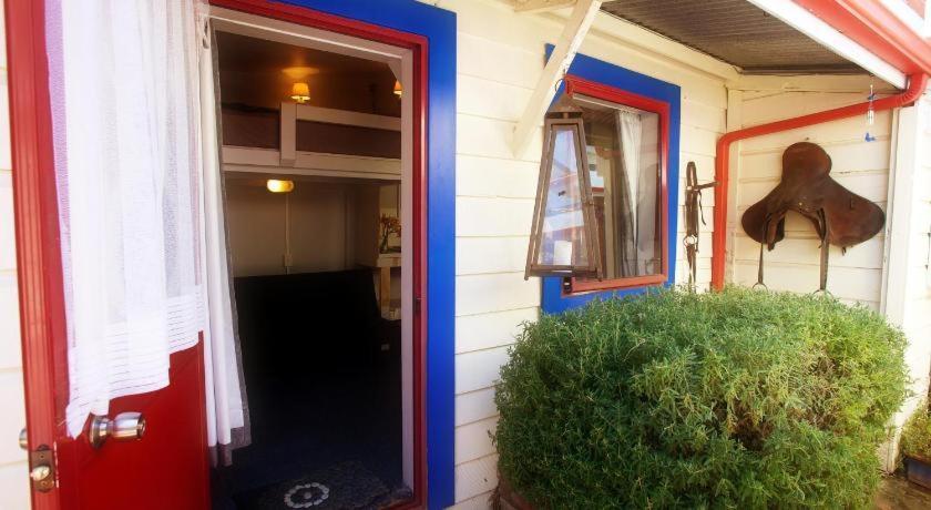 Stables Lodge Backpackers Napier Zewnętrze zdjęcie