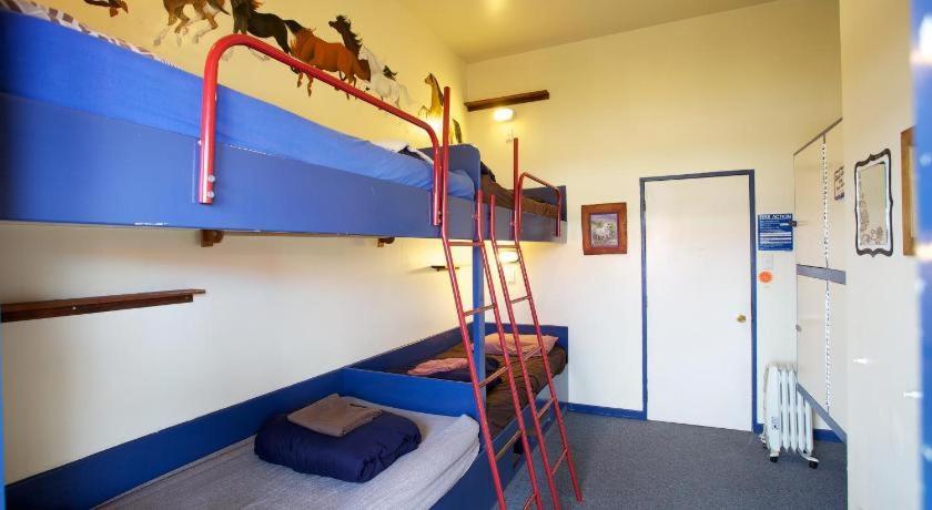 Stables Lodge Backpackers Napier Zewnętrze zdjęcie
